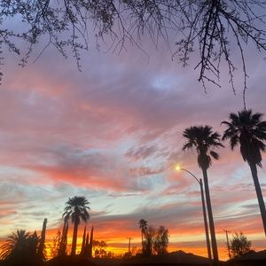 Meet your Posher, Cynthia